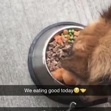 Smoak BBQ restaurant view 3