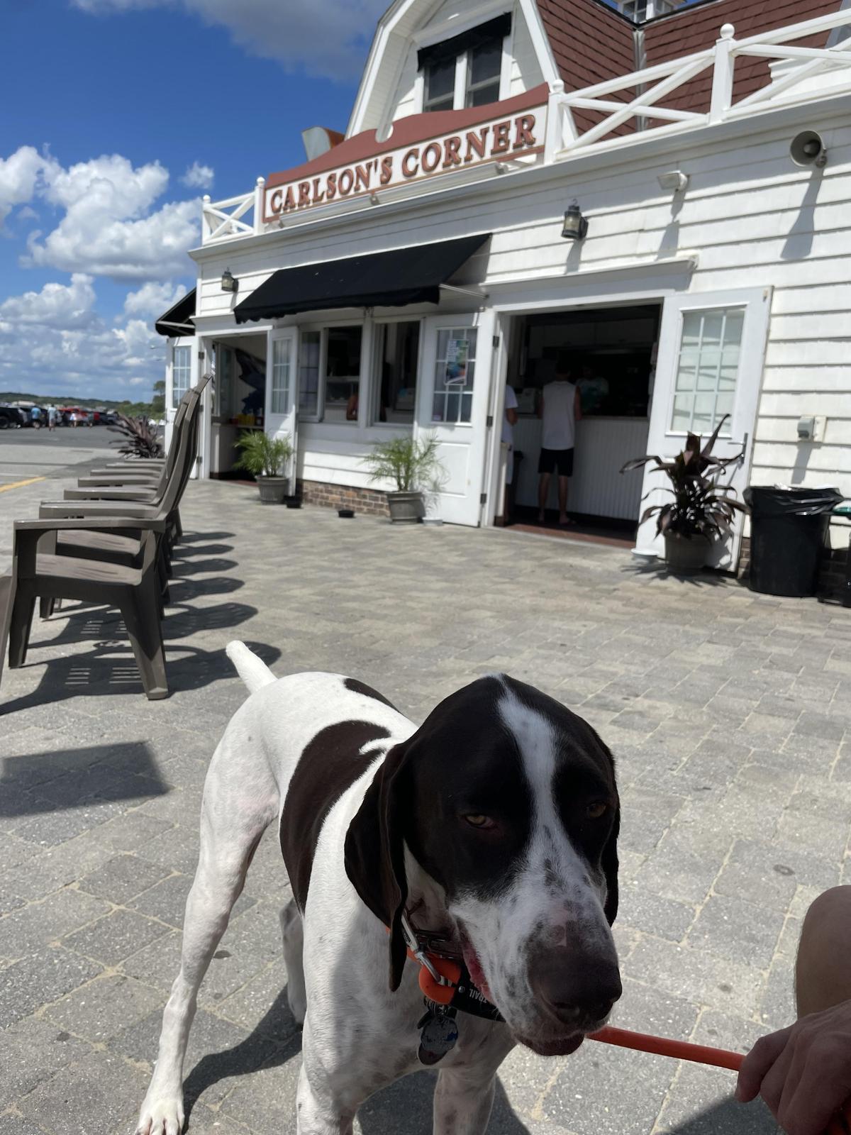 Carlson's Corner restaurant view 2