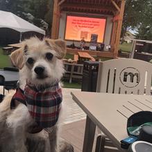 Matty's Bar & Grille restaurant view 1