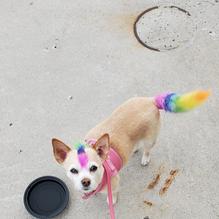 Exit Zero Filling Station restaurant view 3