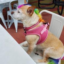 Exit Zero Filling Station restaurant view 2