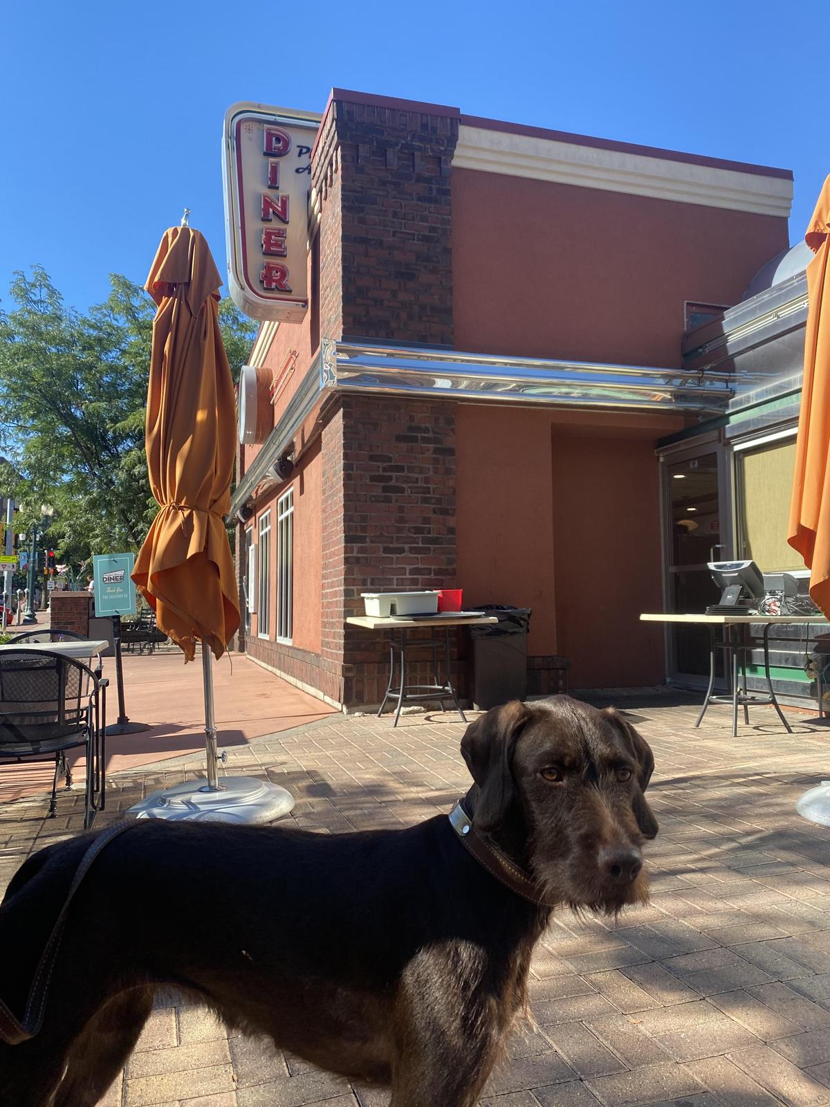 Phillips Avenue Diner restaurant view 1
