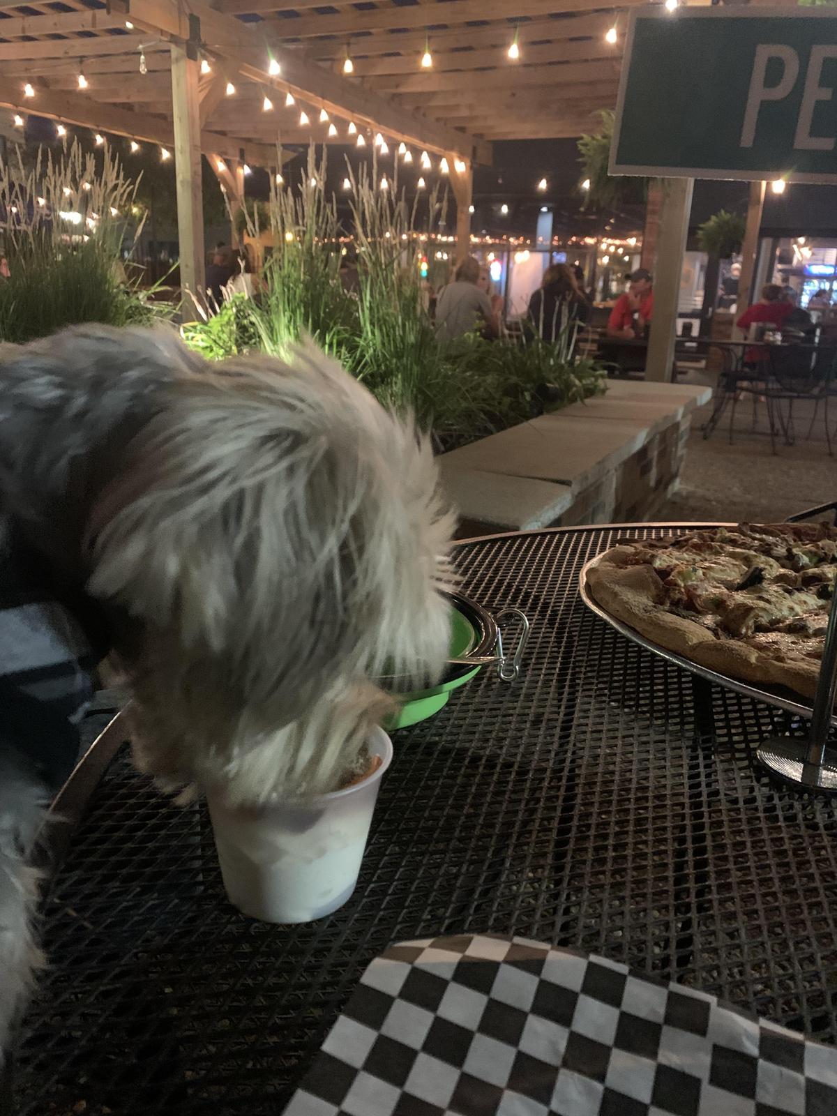 AJ's Pizza restaurant view 2