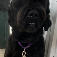 Apalachicola Seafood Grill restaurant view 2