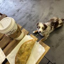 Southie Coffee restaurant view 2