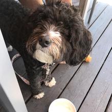 Hatch Taqueria & Tequilas restaurant view 1