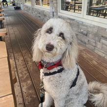 Muddy Rudder Bar & Grill restaurant view 1