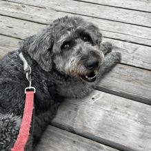 Boothbay Lobster Wharf restaurant view 1
