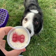 The Red Barn restaurant view 1