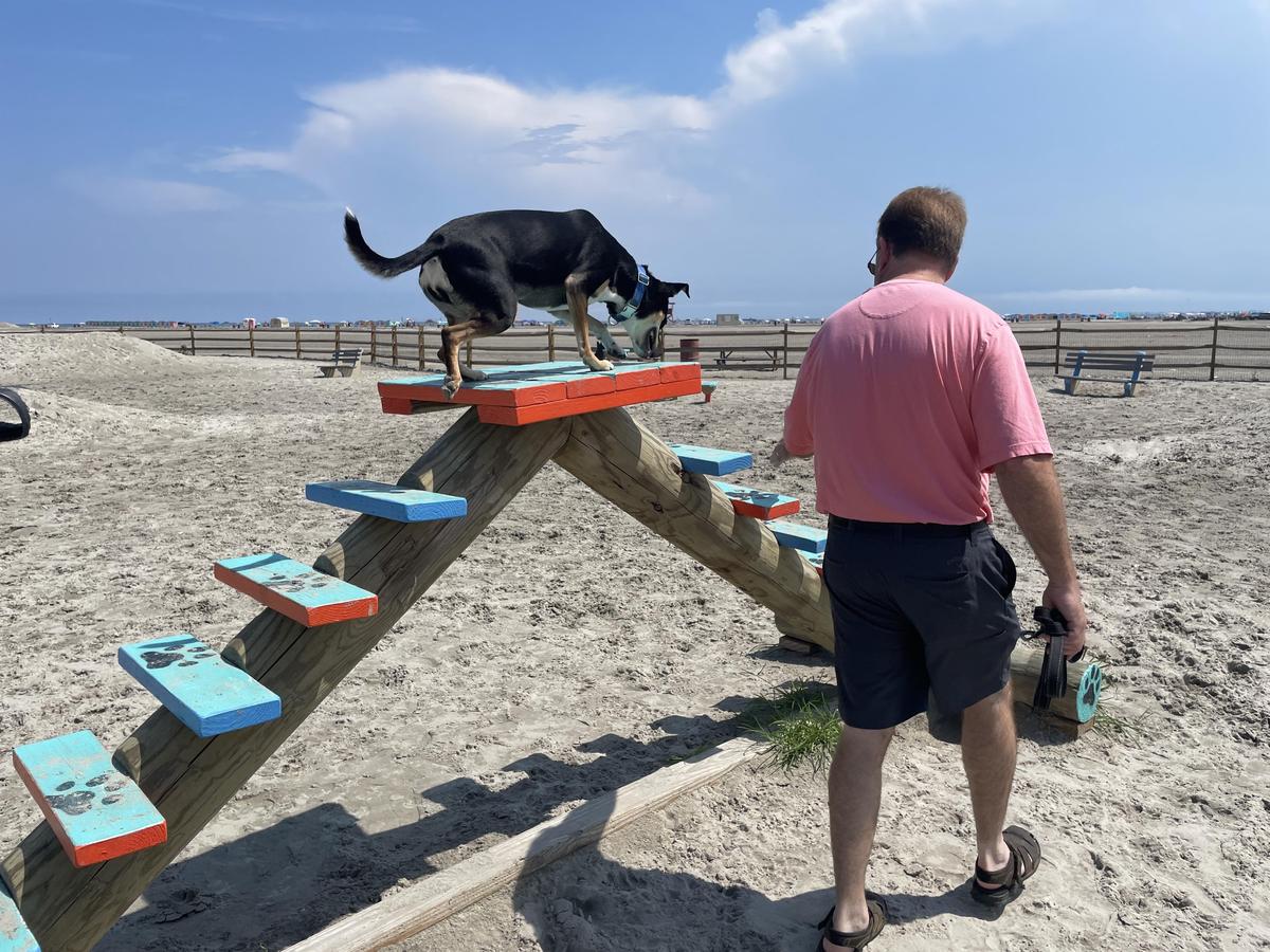 Wildwood Beach Dog Park