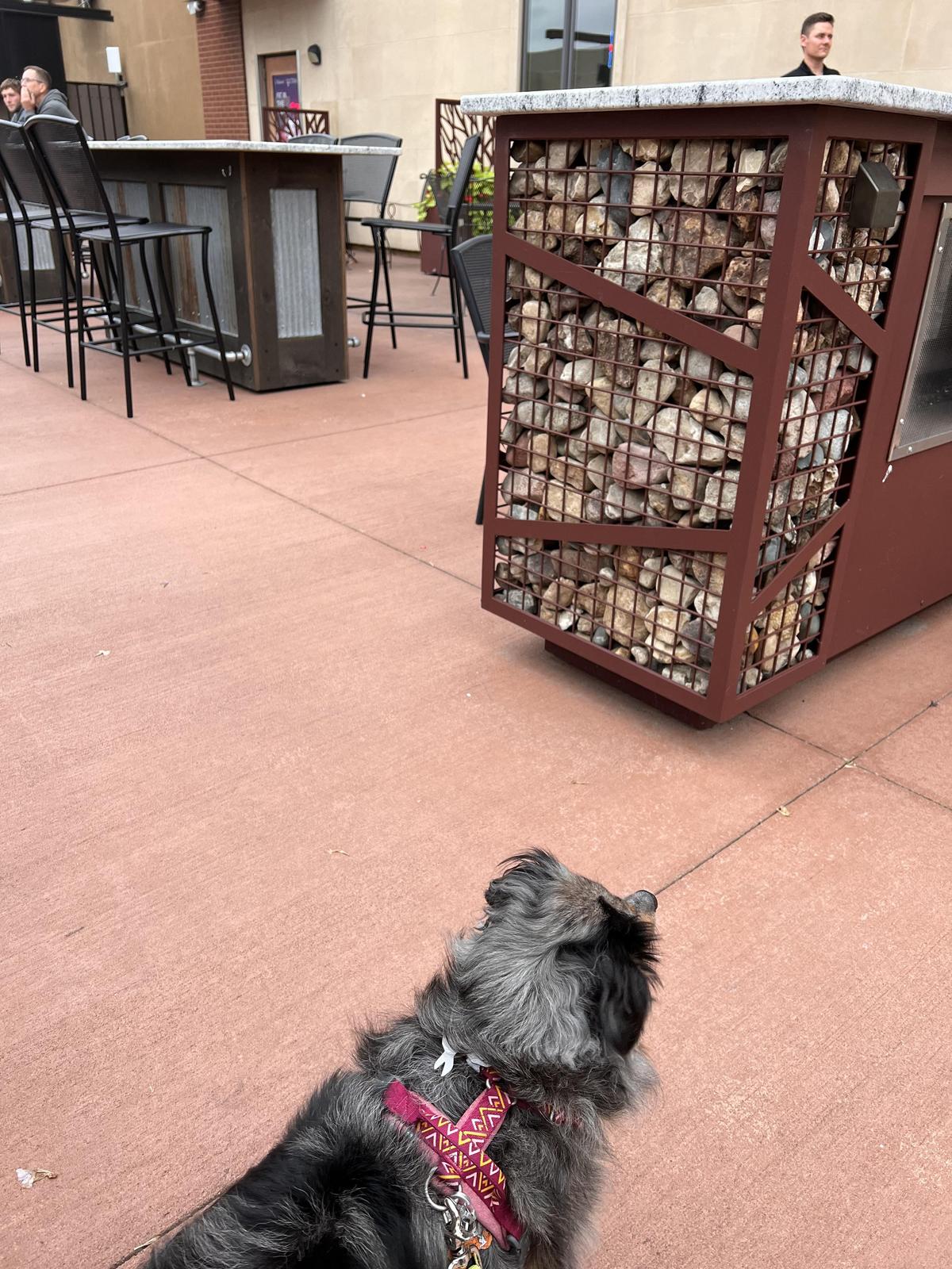 B&J Bar and Grill restaurant view 1