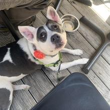 Public Greens restaurant view 1