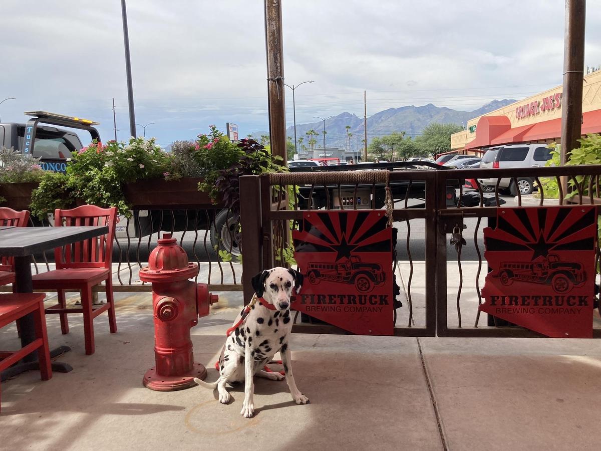 Firetruck Brewing Company restaurant view 1
