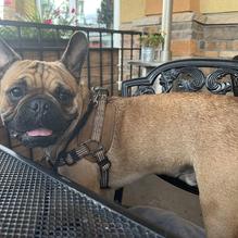 Casa Caliente Mexican Restaurant restaurant view 1