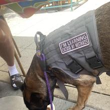 Walnut Ave Cafe restaurant view 1