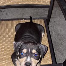 Get Hooked Grill restaurant view 2