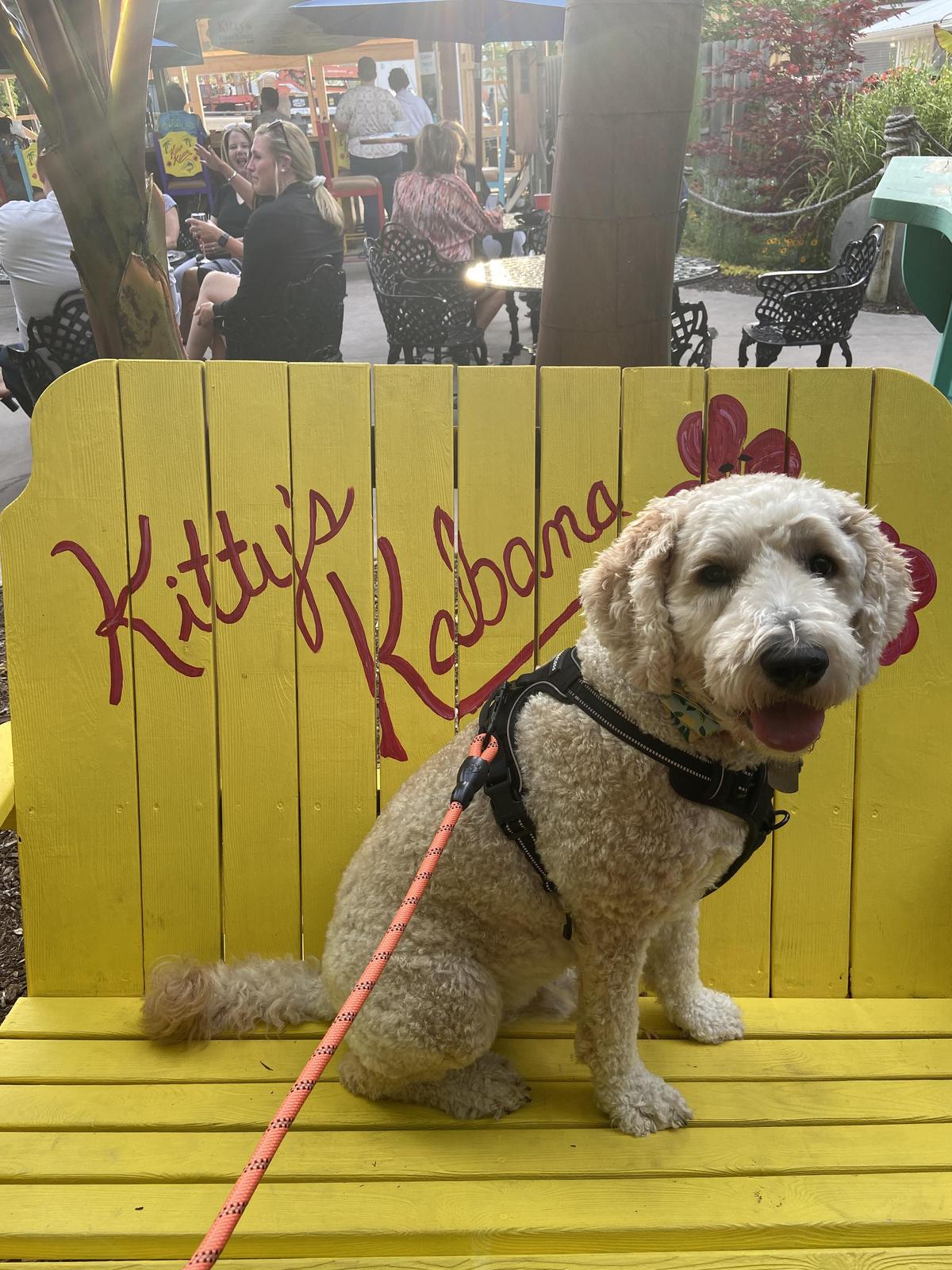 Kitty O'Reilly's Irish Pub restaurant view 3