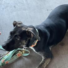 Rock & Brews restaurant view 1