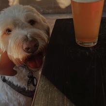 The Highlander Public House restaurant view 2