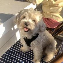 The Black Whale restaurant view 2