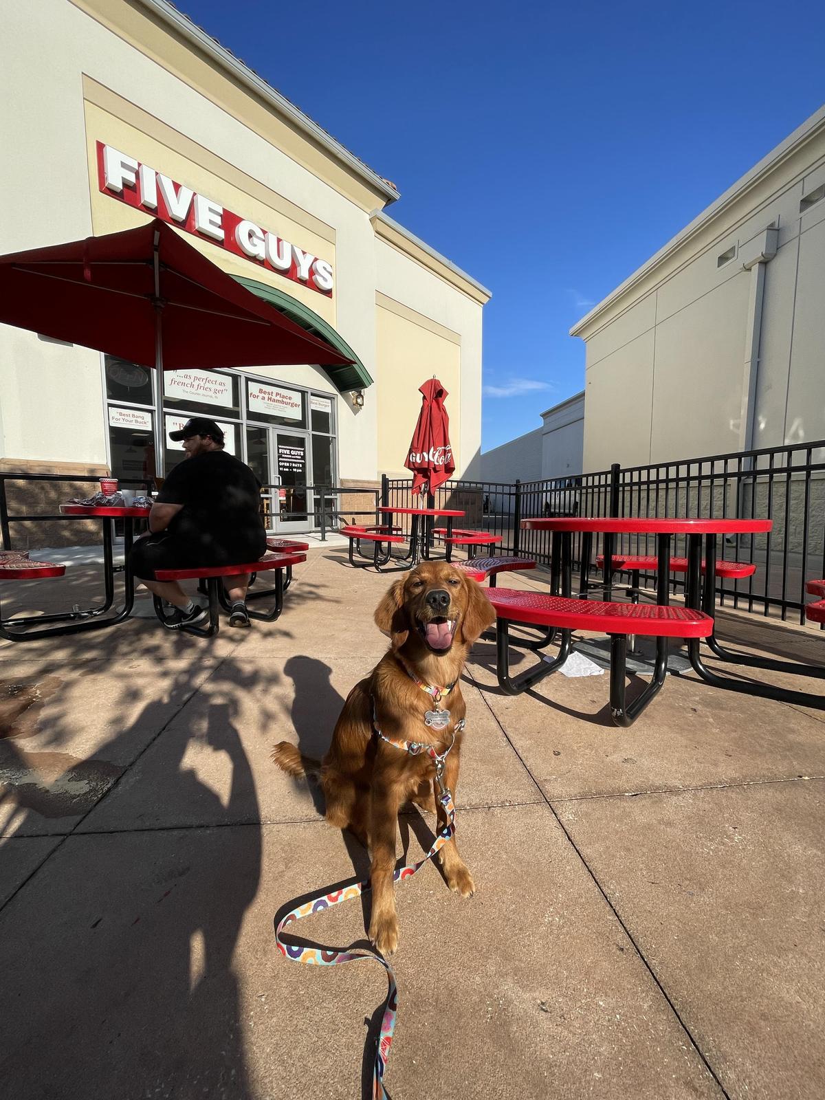 Five Guys restaurant view 1
