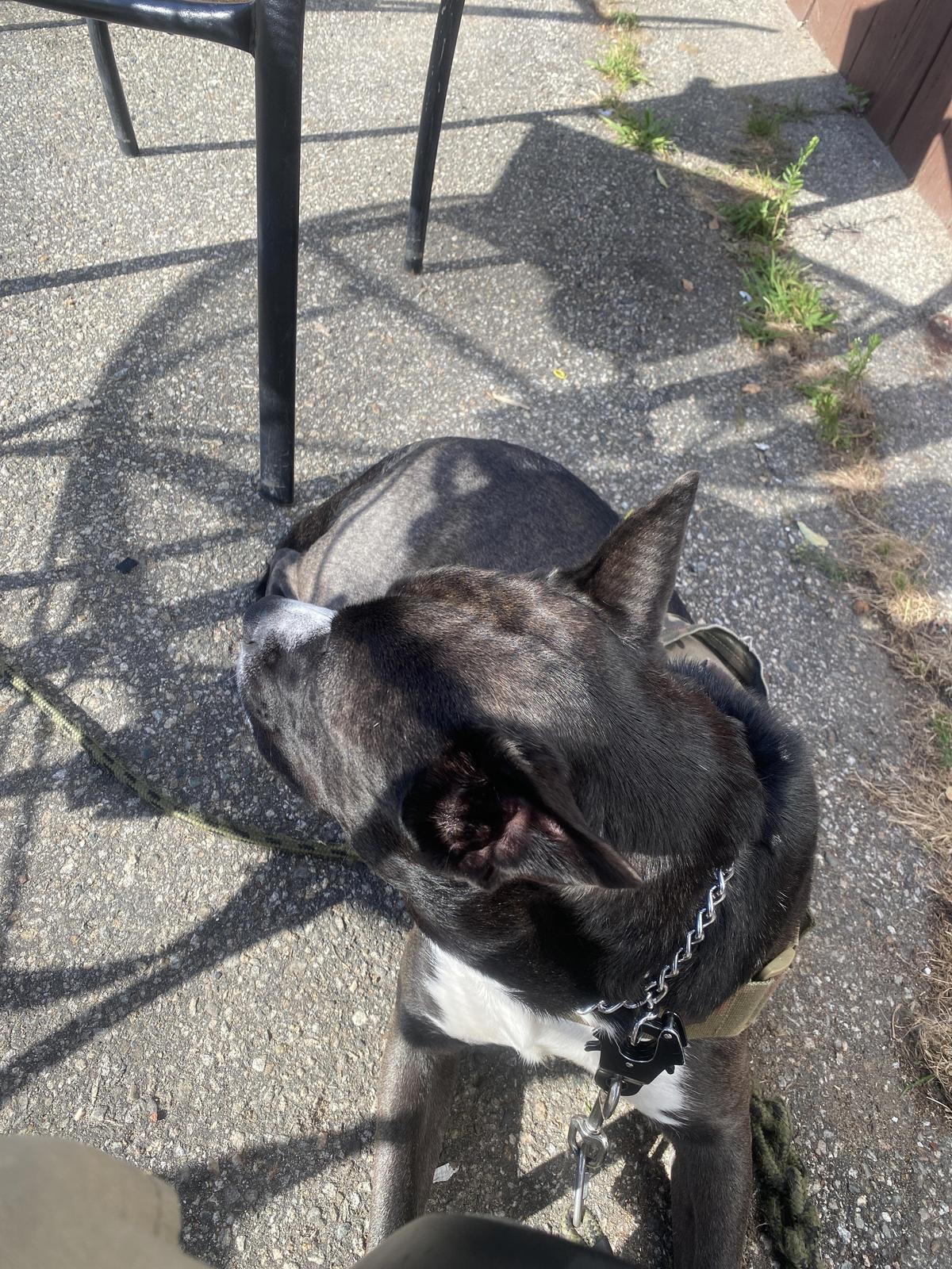 Beach Bagels restaurant view 1