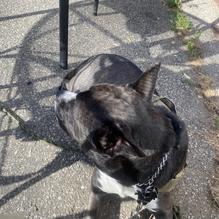 Beach Bagels restaurant view 1