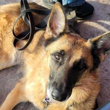 Secret Cove Restaurant restaurant view 2