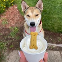 Mad Maggie's Ice Cream restaurant view 1