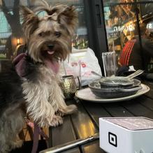 Makers Union Pub restaurant view 1