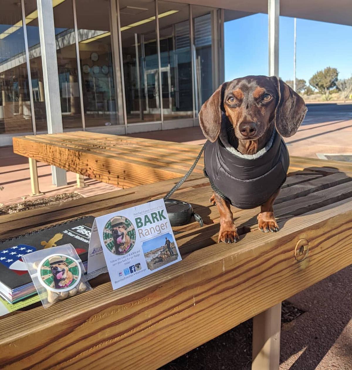 BringFido to B.A.R.K. Ranger Puppachino Crawl