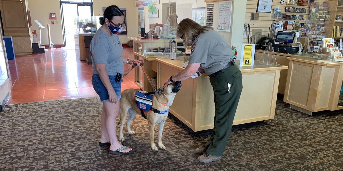 Earn a BARK Ranger Dog Tag (U.S. National Park Service)