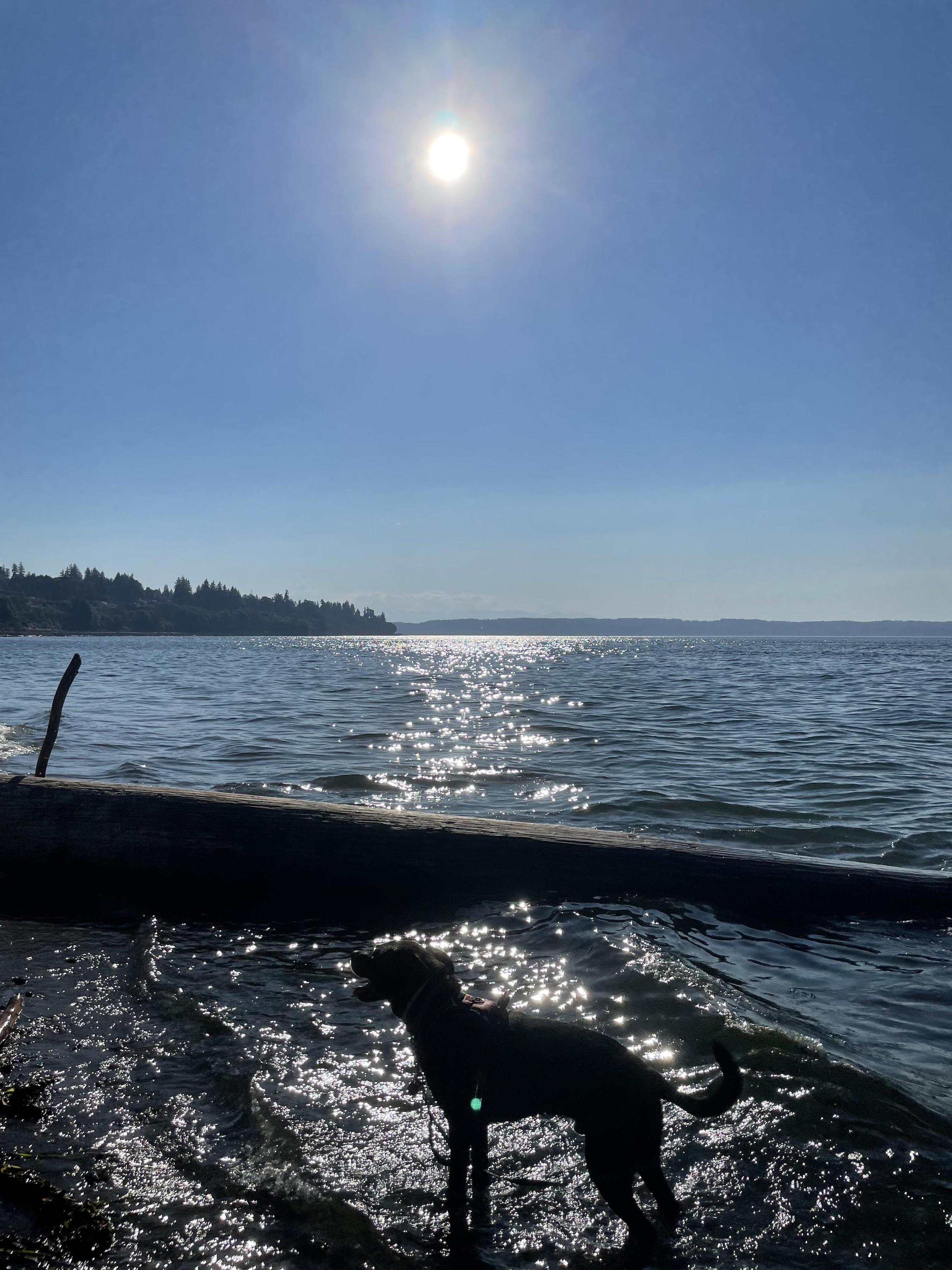 Howarth Park Beach
