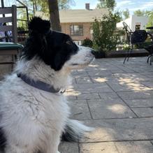 Highlands Cork & Coffee restaurant view 1