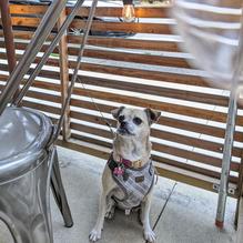 Sprezzatura Restaurant restaurant view 1