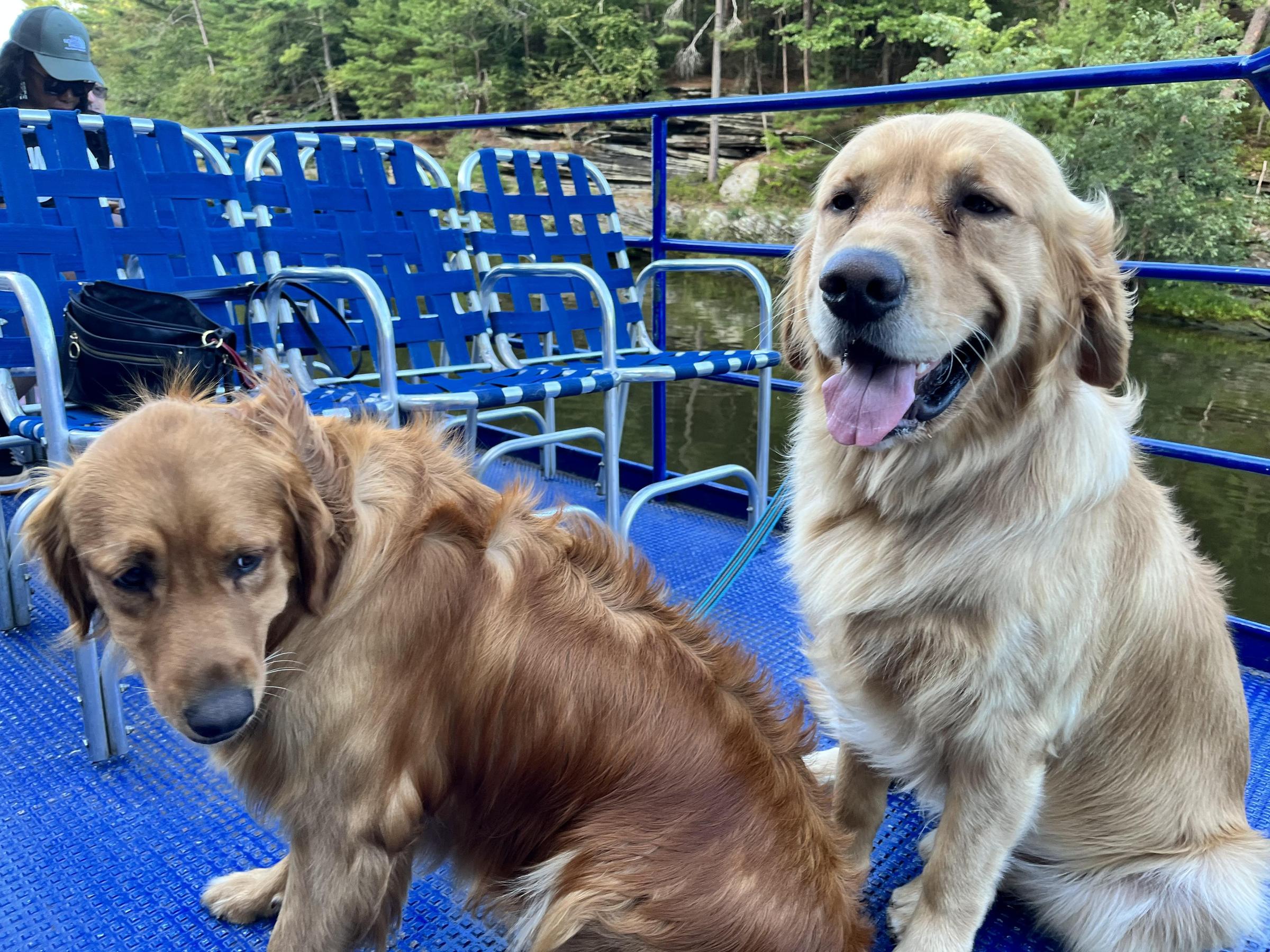 Pet Friendly Dells Boat Tours