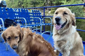 Travel Tours With Dogs: Ultimate Adventures for Pet Lovers