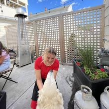 South Lane Bistro restaurant view 2