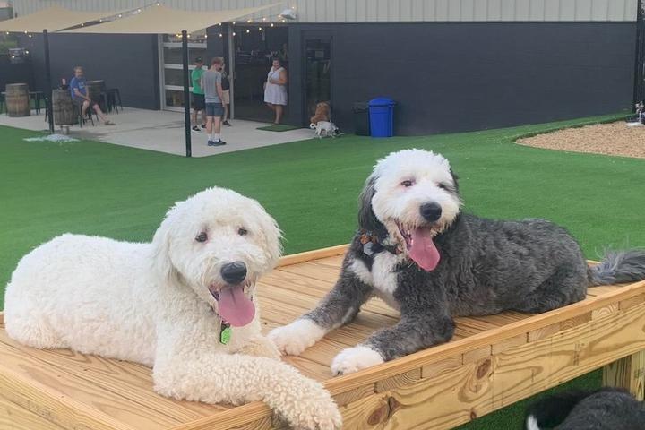 New Dog Parks and Pet-Friendly Attractions: September 2022