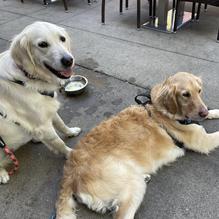 Granite City Food & Brewery restaurant view 2