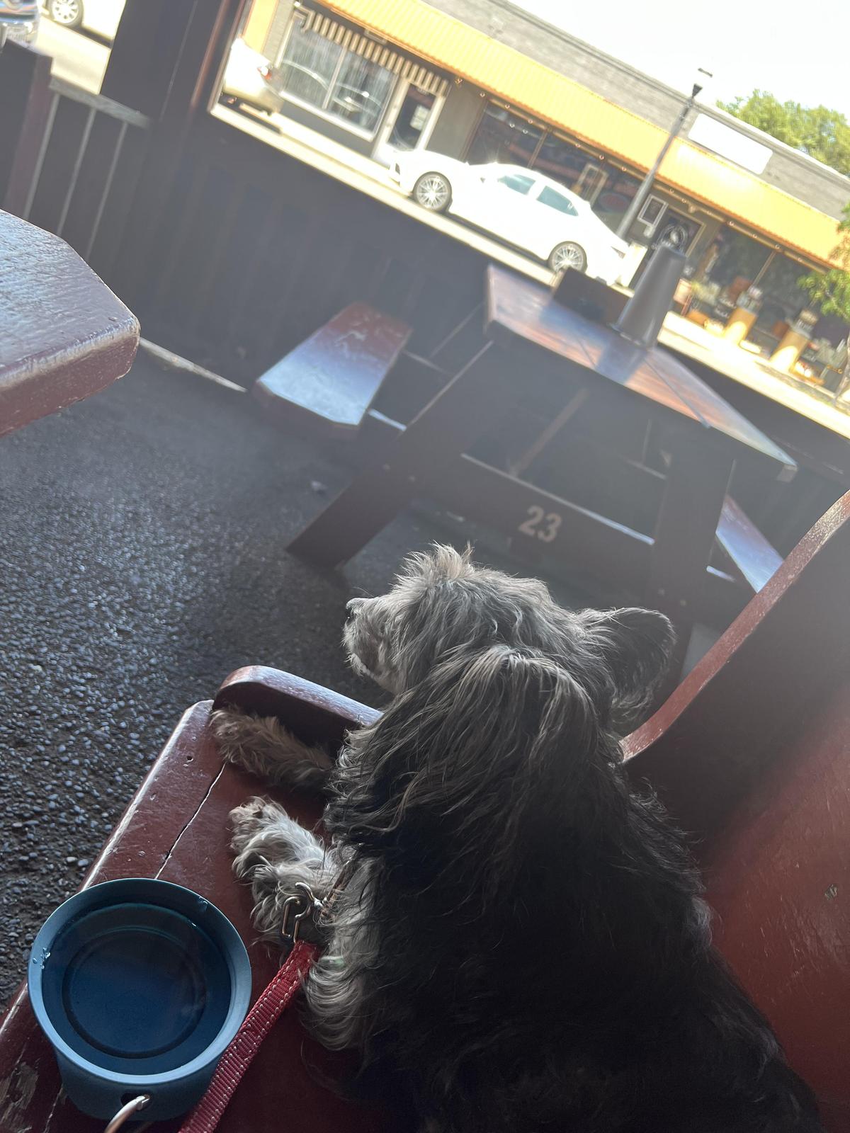 Smokey Joe's restaurant view 2