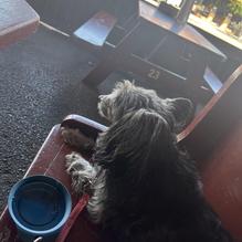 Smokey Joe's restaurant view 2