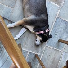 ROE. restaurant view 1