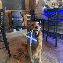 Pine Island Tap House restaurant view 1