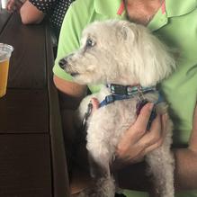 Fish Tales restaurant view 3