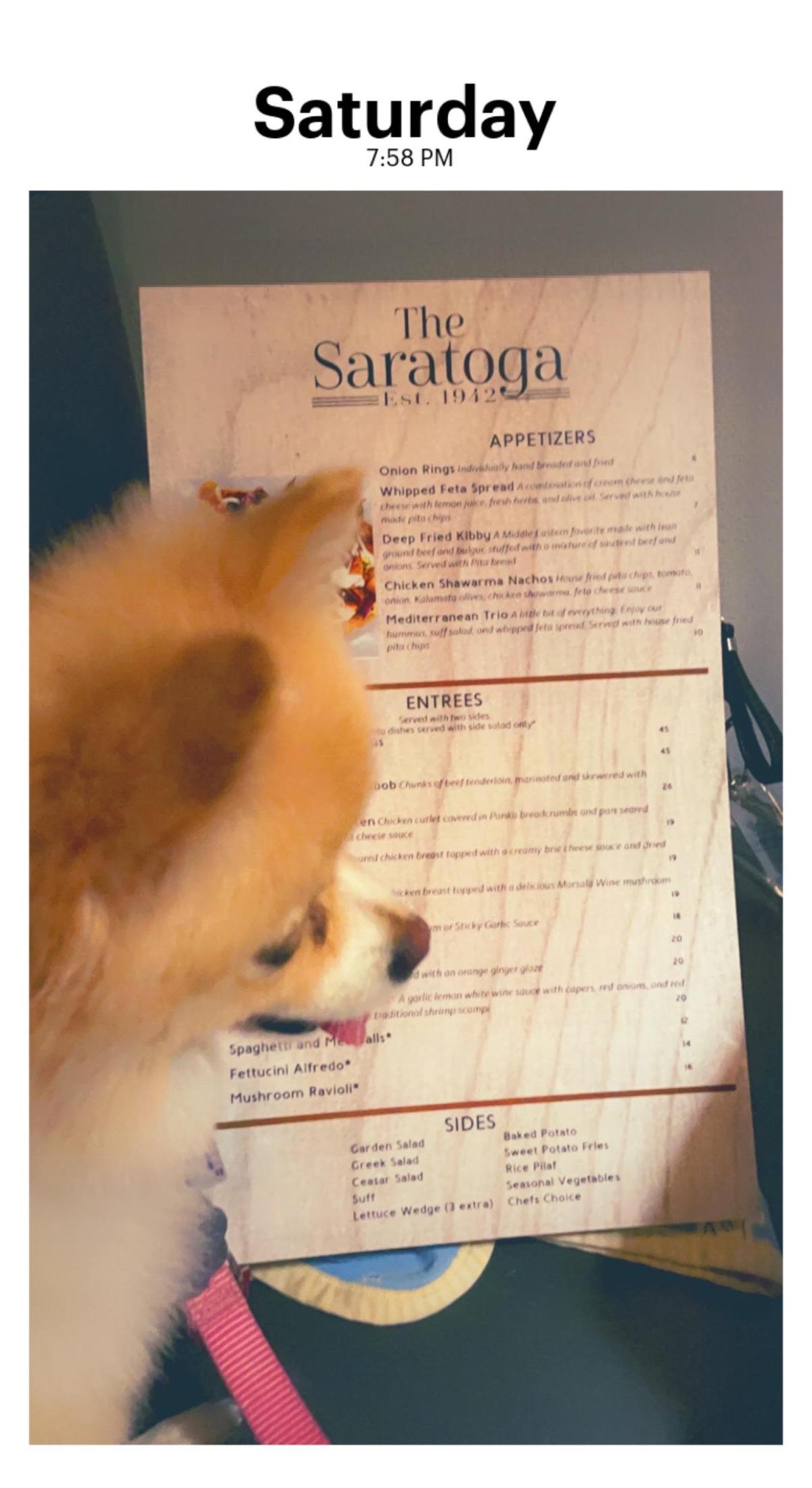 Saratoga Bar & Cafe restaurant view 2