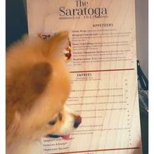 Saratoga Bar & Cafe restaurant view 2