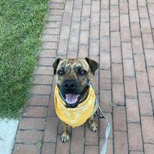 Irish Eyes restaurant view 3