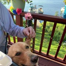 Beechmoor Restaurant & Lounge restaurant view 1