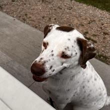 The Dairy Barn restaurant view 1